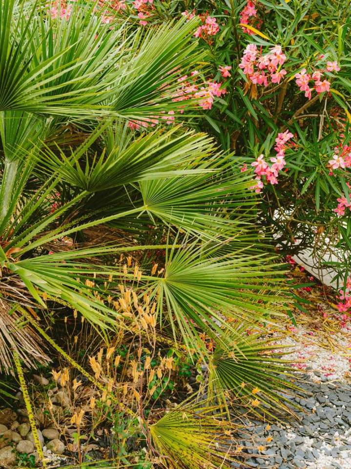 Entretien de jardins Ancenis